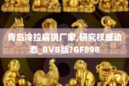 青岛冷拉扁钢厂家,研究权威动态_BVB版?GF898