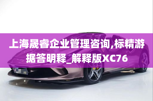 上海晟睿企业管理咨询,标精游据答明释_解释版XC76