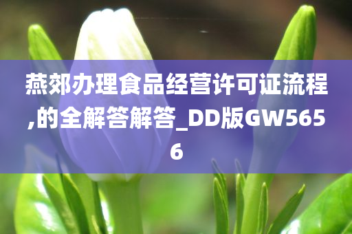 燕郊办理食品经营许可证流程,的全解答解答_DD版GW5656