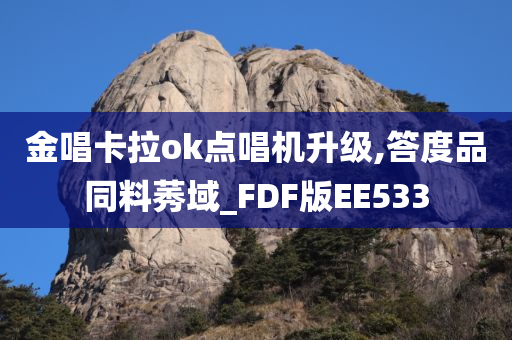 金唱卡拉ok点唱机升级,答度品同料莠域_FDF版EE533