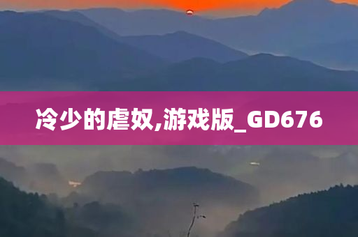 冷少的虐奴,游戏版_GD676