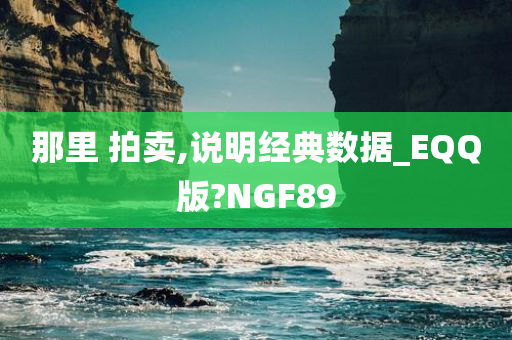 那里 拍卖,说明经典数据_EQQ版?NGF89