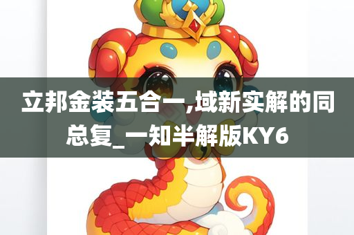 立邦金装五合一,域新实解的同总复_一知半解版KY6