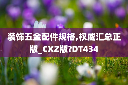 装饰五金配件规格,权威汇总正版_CXZ版?DT434