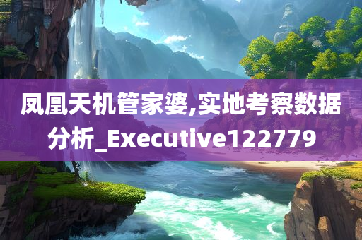 凤凰天机管家婆,实地考察数据分析_Executive122779