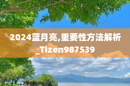 2024蓝月亮,重要性方法解析_Tizen987539