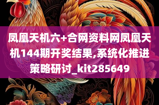 凤凰天机六+合网资料网凤凰天机144期开奖结果,系统化推进策略研讨_kit285649