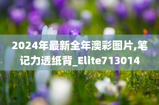 2024年最新全年澳彩图片,笔记力透纸背_Elite713014