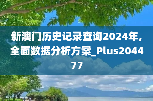 新澳门历史记录查询2024年,全面数据分析方案_Plus204477