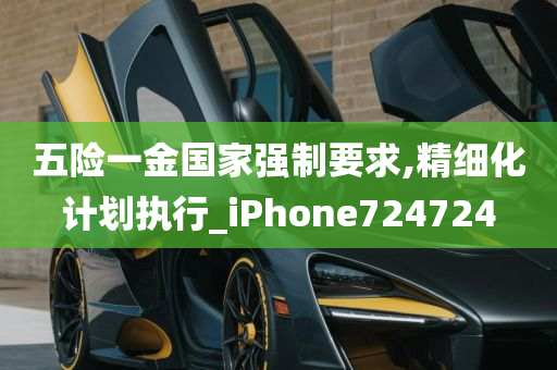 五险一金国家强制要求,精细化计划执行_iPhone724724