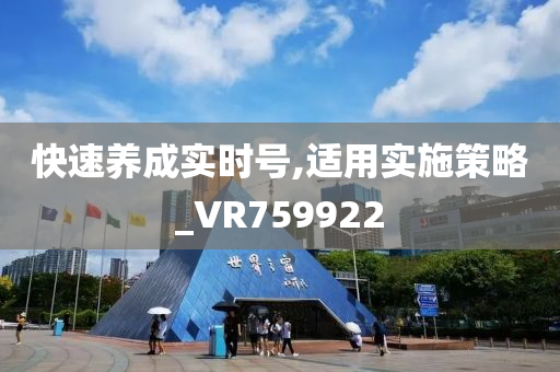 快速养成实时号,适用实施策略_VR759922