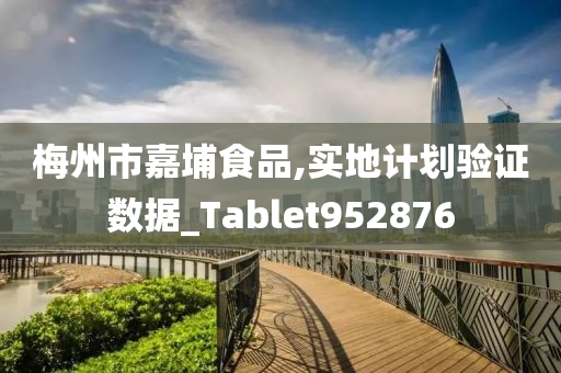 梅州市嘉埔食品,实地计划验证数据_Tablet952876