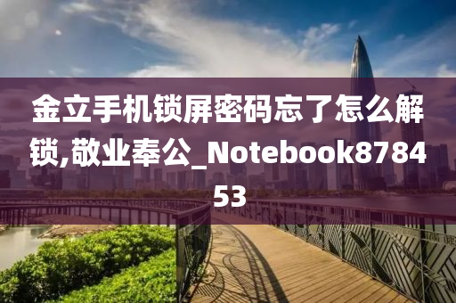 金立手机锁屏密码忘了怎么解锁,敬业奉公_Notebook878453