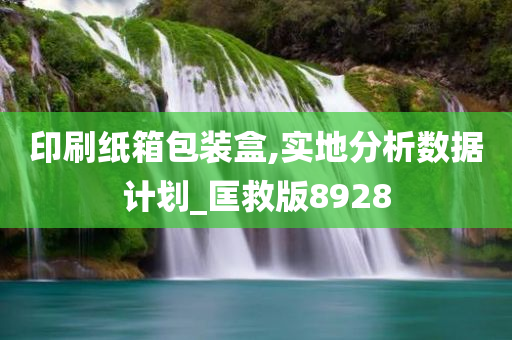 印刷纸箱包装盒,实地分析数据计划_匡救版8928