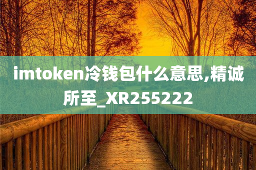 imtoken冷钱包什么意思,精诚所至_XR255222