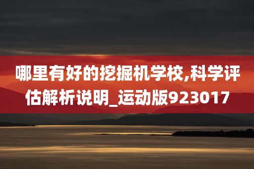 哪里有好的挖掘机学校,科学评估解析说明_运动版923017