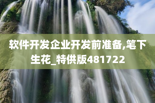 软件开发企业开发前准备,笔下生花_特供版481722