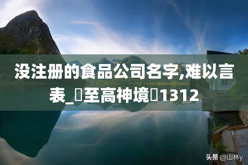 没注册的食品公司名字,难以言表_‌至高神境‌1312