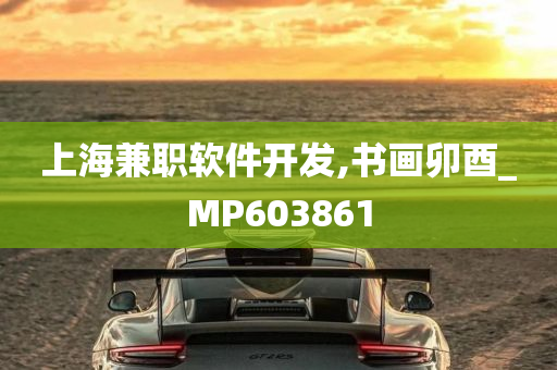 上海兼职软件开发,书画卯酉_MP603861