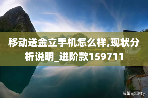 移动送金立手机怎么样,现状分析说明_进阶款159711