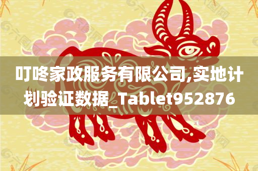 叮咚家政服务有限公司,实地计划验证数据_Tablet952876