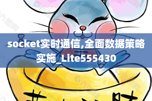 socket实时通信,全面数据策略实施_Lite555430