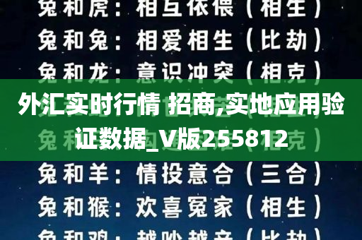 外汇实时行情 招商,实地应用验证数据_V版255812