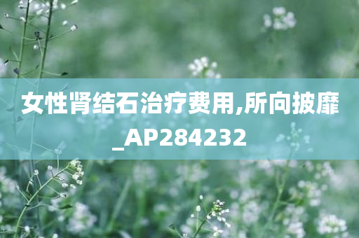 女性肾结石治疗费用,所向披靡_AP284232