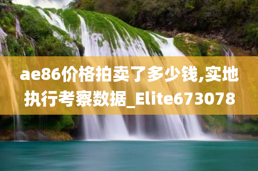 ae86价格拍卖了多少钱,实地执行考察数据_Elite673078