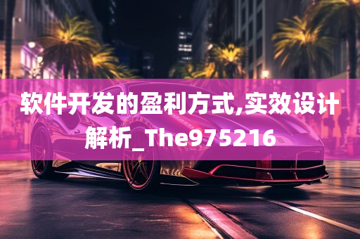 软件开发的盈利方式,实效设计解析_The975216