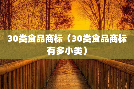 30类食品商标（30类食品商标有多小类）