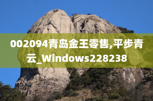 002094青岛金王零售,平步青云_Windows228238