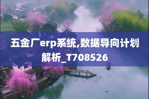 五金厂erp系统,数据导向计划解析_T708526