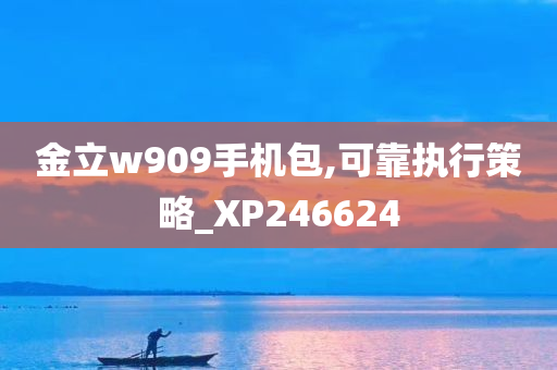 金立w909手机包,可靠执行策略_XP246624