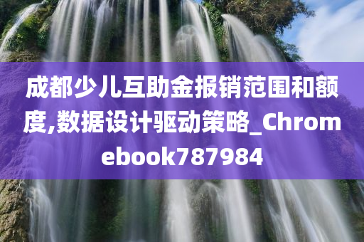 成都少儿互助金报销范围和额度,数据设计驱动策略_Chromebook787984