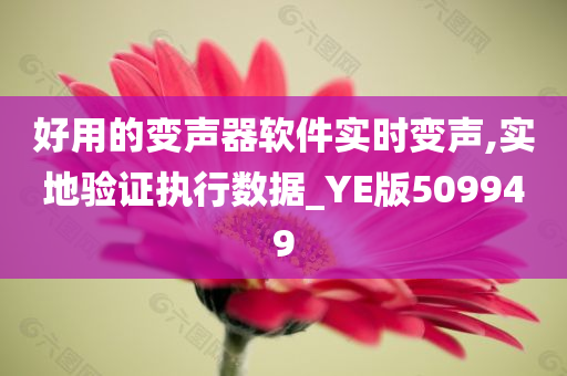 好用的变声器软件实时变声,实地验证执行数据_YE版509949