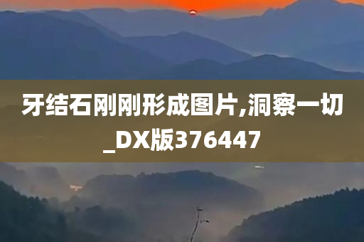 牙结石刚刚形成图片,洞察一切_DX版376447