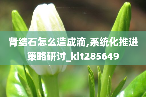 肾结石怎么造成滴,系统化推进策略研讨_kit285649