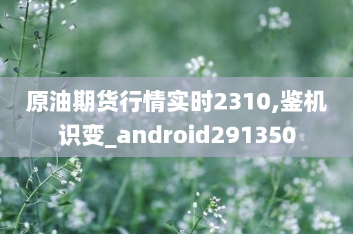 原油期货行情实时2310,鉴机识变_android291350