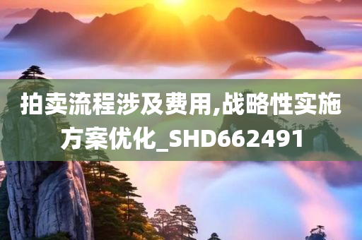 拍卖流程涉及费用,战略性实施方案优化_SHD662491