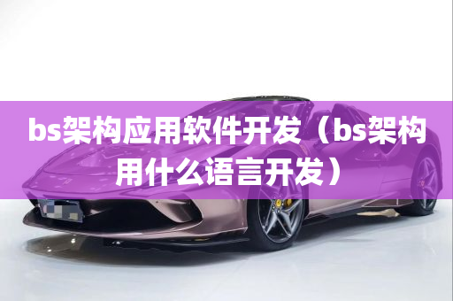 bs架构应用软件开发（bs架构用什么语言开发）