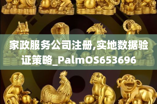 家政服务公司注册,实地数据验证策略_PalmOS653696