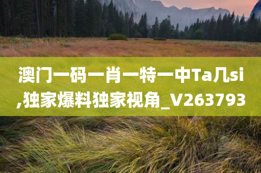 澳门一码一肖一特一中Ta几si,独家爆料独家视角_V263793