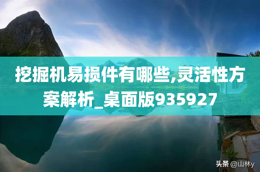 挖掘机易损件有哪些,灵活性方案解析_桌面版935927