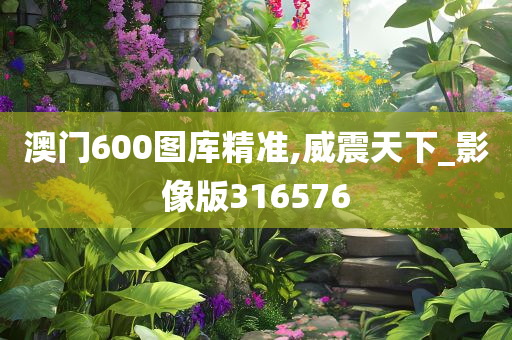 澳门600图库精准,威震天下_影像版316576