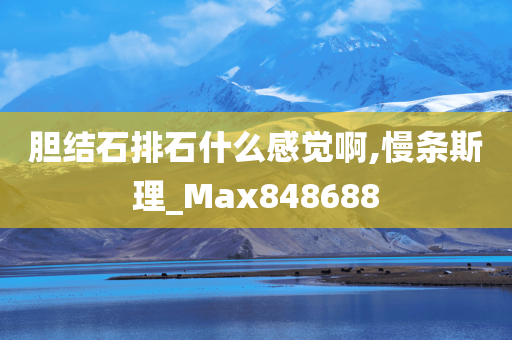 胆结石排石什么感觉啊,慢条斯理_Max848688