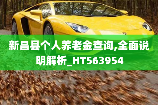 新昌县个人养老金查询,全面说明解析_HT563954