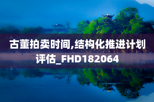 古董拍卖时间,结构化推进计划评估_FHD182064