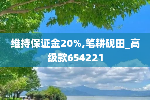 维持保证金20%,笔耕砚田_高级款654221