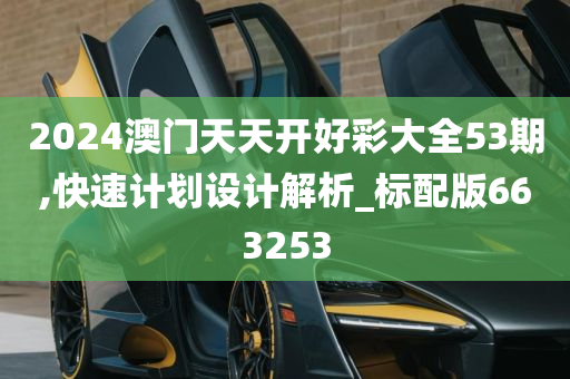 2024澳门天天开好彩大全53期,快速计划设计解析_标配版663253